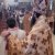 Ordinations